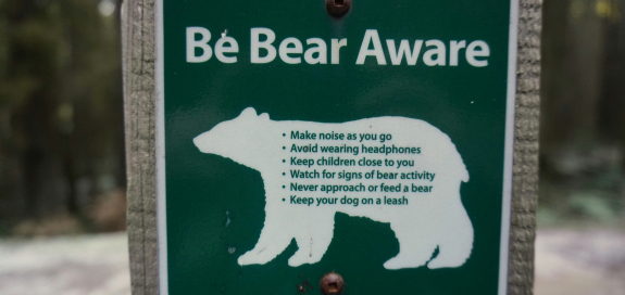 Picture of a sign listing bear precautions