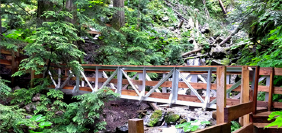 Wooden bridge over stream at ancient forest