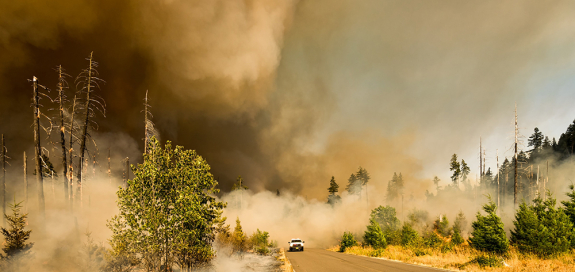 Smoke billowing over forest road as pickup truck tries to out run it