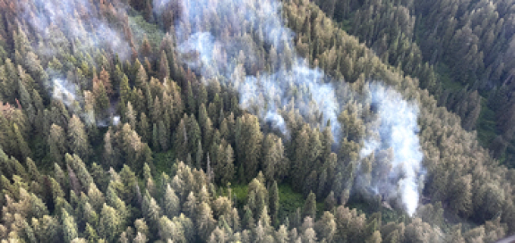 Smoke rises out of the forested slope